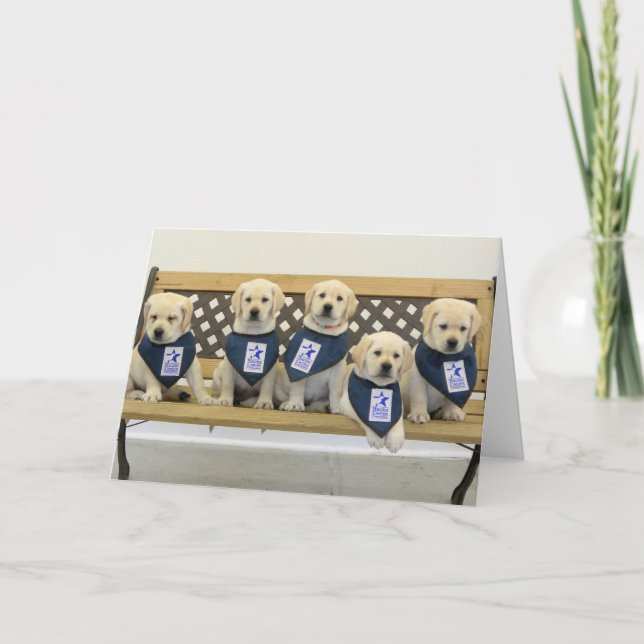 Weather Litter Bench Photo Card (Front)