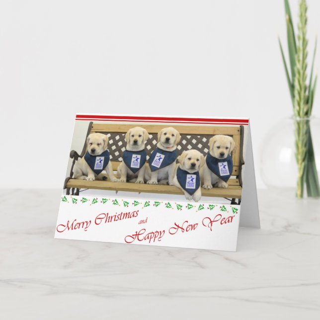 Weather Litter Christmas Card (Front)