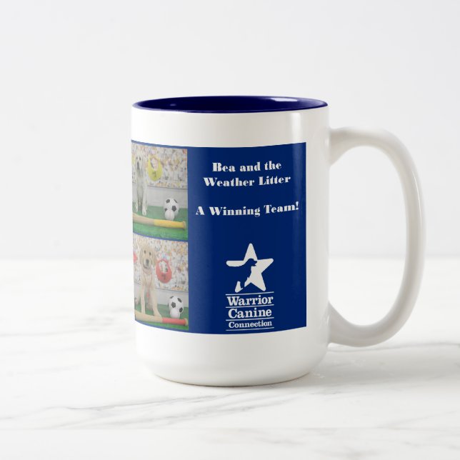 Weather Litter Play Ball Mug (Right)