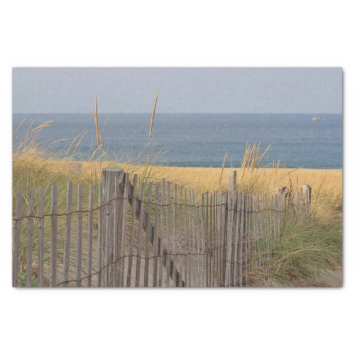 Weathered beach fence and dune grass at the beach tissue paper