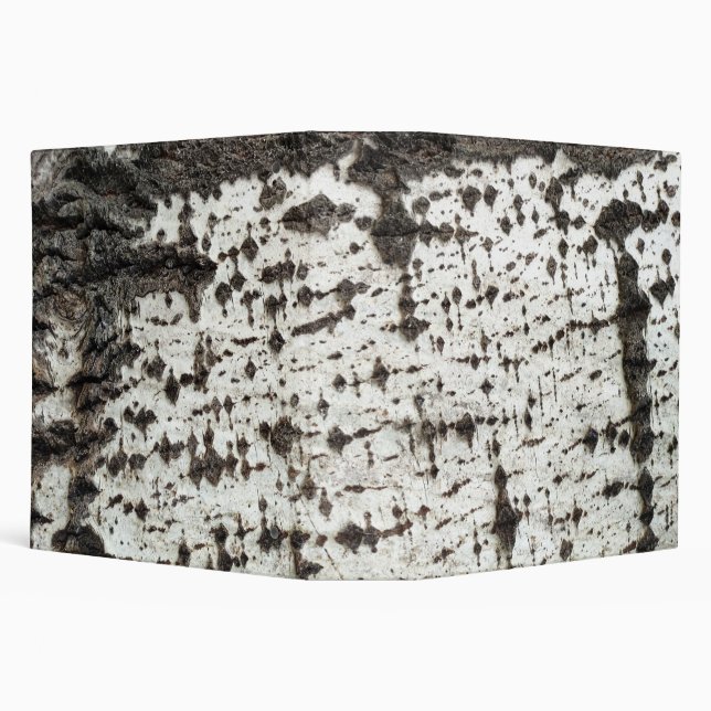 Weathered birch trunk 3 ring binder (Background)