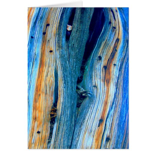 weathered blue barn board (Front)