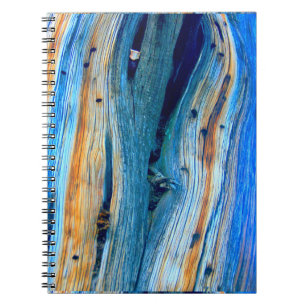 weathered blue barn boards notebook