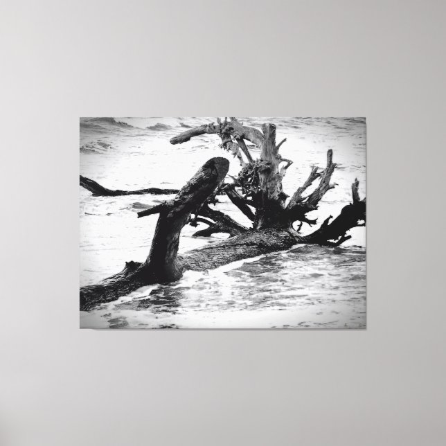 Weathered Driftwood on the Shore Canvas Print (Front)