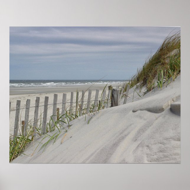 Weathered fence and sand dunes at the beach poster (Front)
