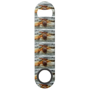 weathered grey dock boards Thunder_Cove Bar Key