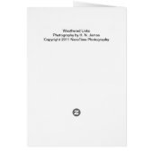 Weathered Links (Back)