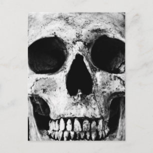 Weathered Old Skull - Black & White Postcard