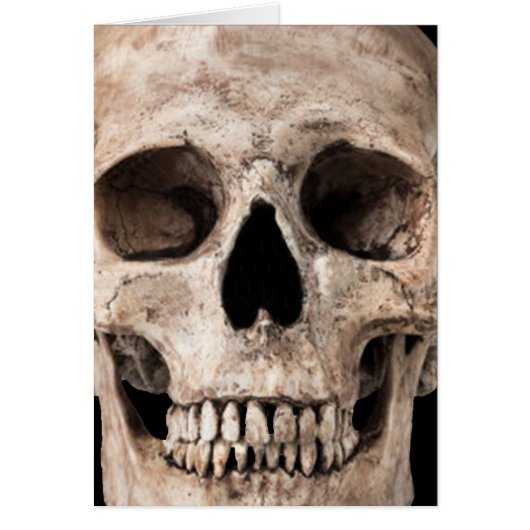 Weathered Old Skull Cards (Front)