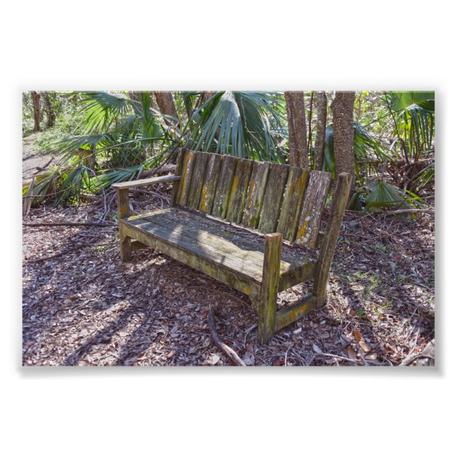 Weathered Park Bench, Dauphin Island Photo Print (Front)