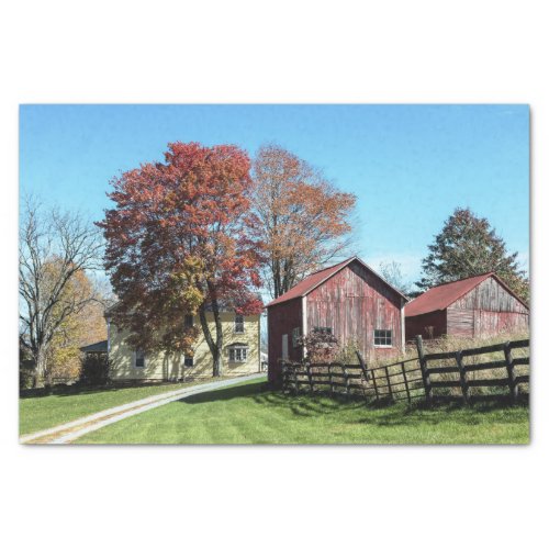 Weathered Red Barns With Tall Grasses  Fence Tissue Paper