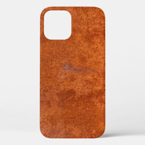 Weathered rusted metal orange_red texture iPhone 12 case