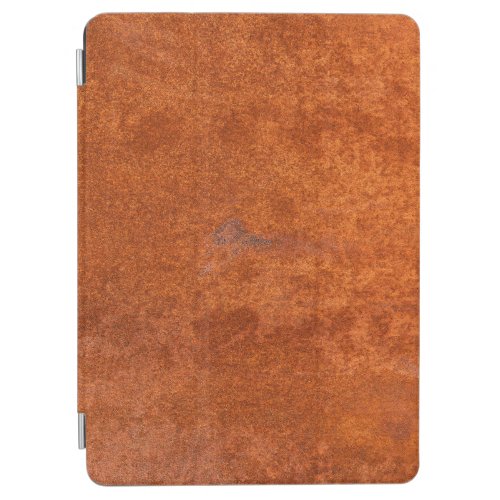 Weathered rusted metal orange_red texture iPad air cover