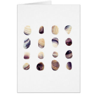 Weathered Seashells Cards