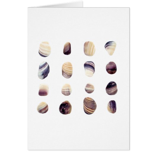 Weathered Seashells Cards (Front)