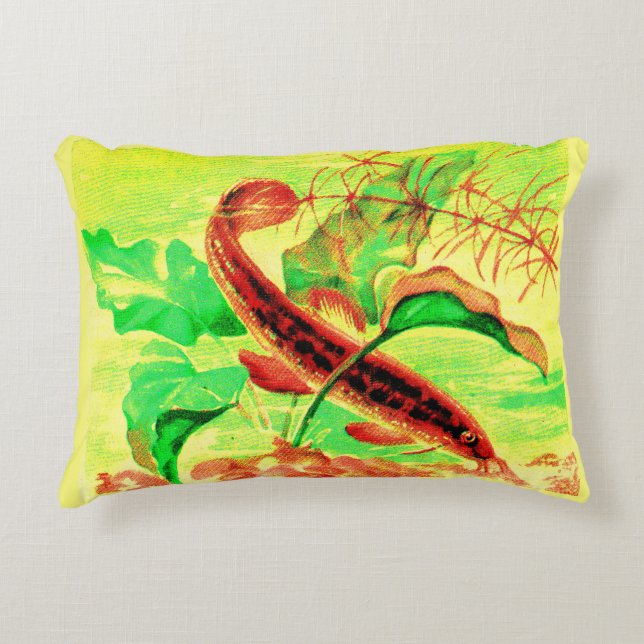 weatherfish accent pillow (Front)