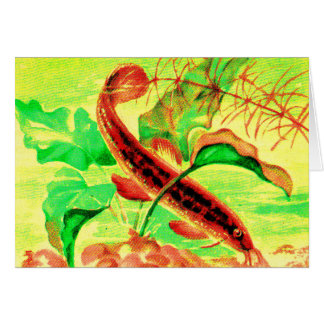 weatherfish cards