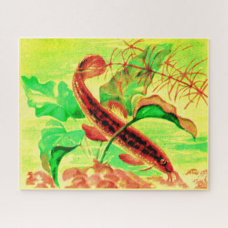 weatherfish jigsaw puzzle