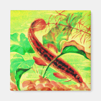 weatherfish magnet
