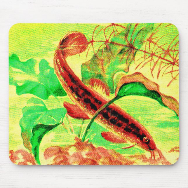 weatherfish mouse pad (Front)