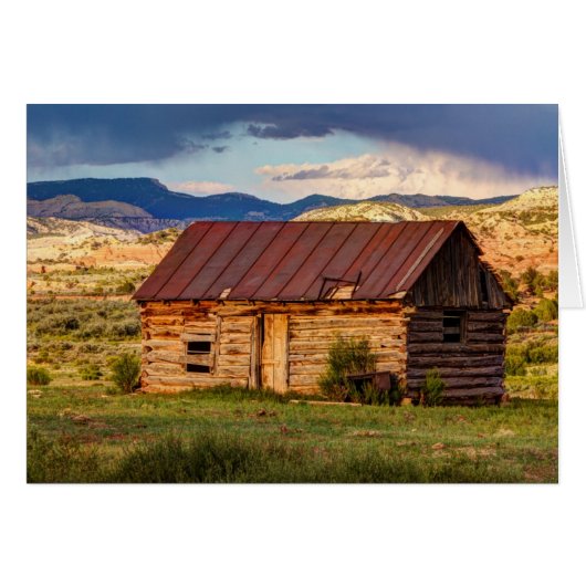 Weathering The Storm (Front Horizontal)