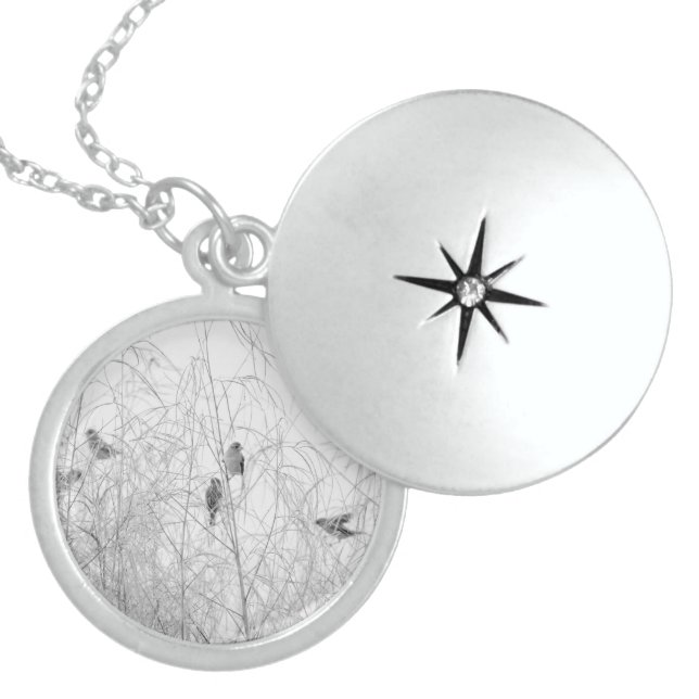 Weaver Birds Locket Necklace (Front)