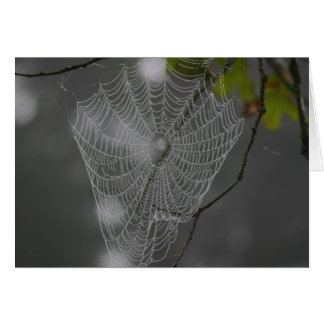 WEB CARDS