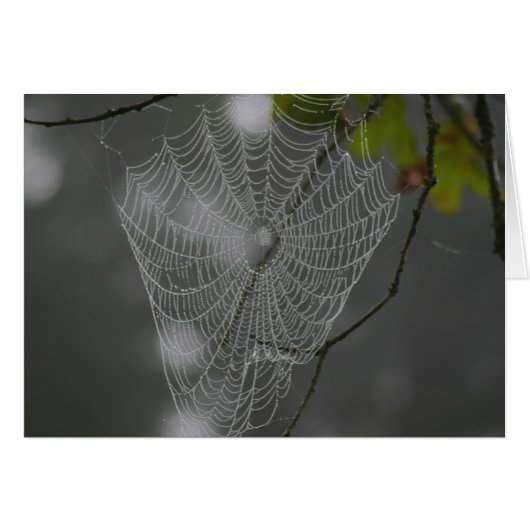 WEB CARDS (Front Horizontal)