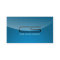 Web Developer - business cards