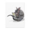 web dillo