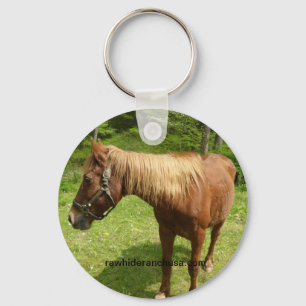 Web keychain