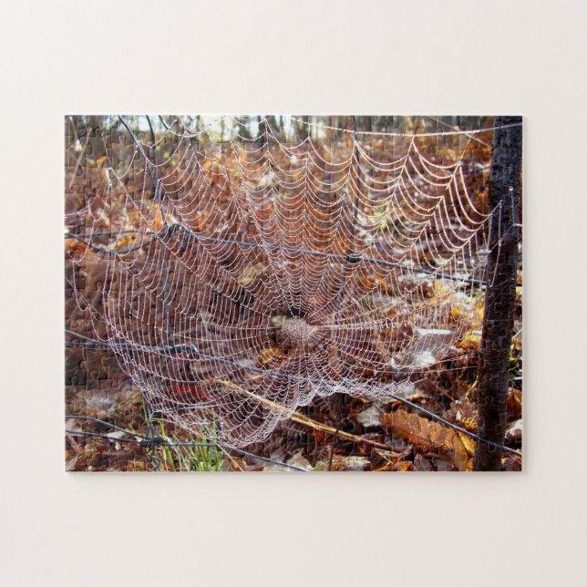 Web of European Garden Spider Photo Puzzle (Horizontal)