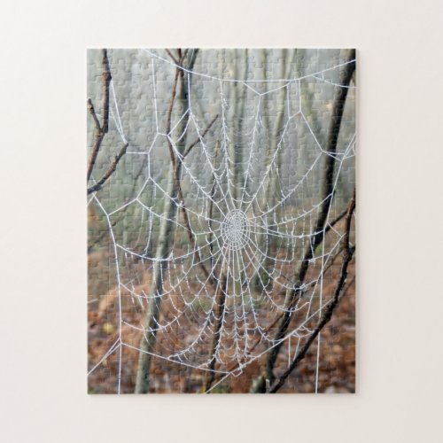 Web of European Garden Spider Photo Puzzle