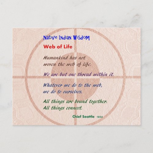 Web of Life  Native American Wisdom Postcard