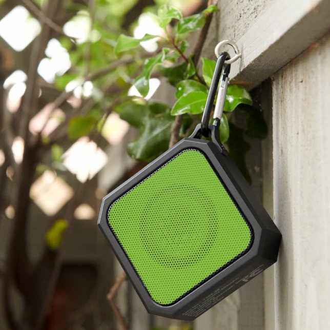Website with a Green Background and White Border  Bluetooth Speaker (Inisitu)