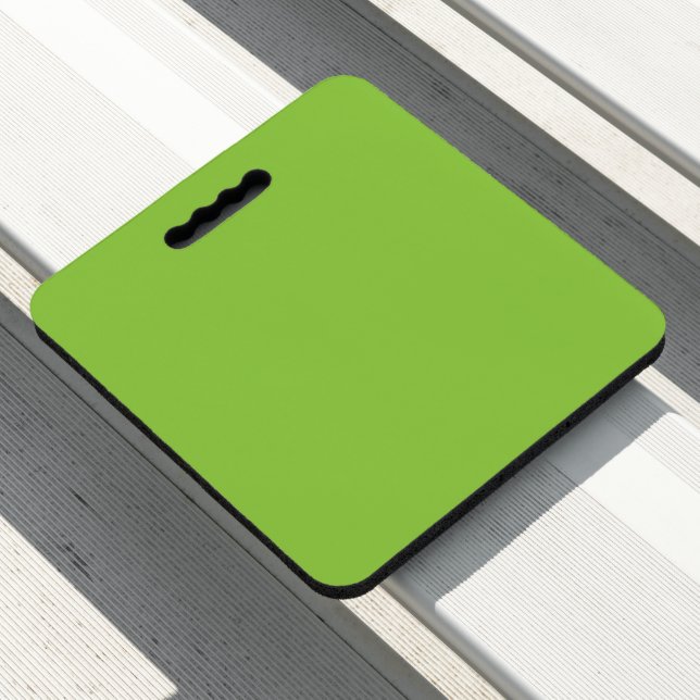 Website with a Green Background and White Border  Seat Cushion (In Situ)