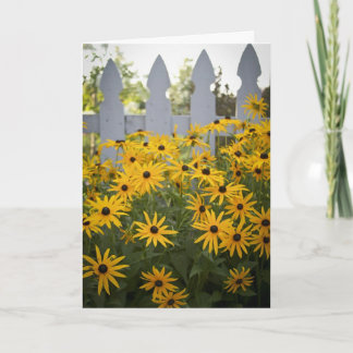 Webster Arboretum Greeting Card