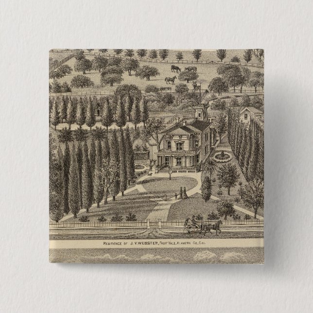 Webster, Badger residences Pinback Button (Front)