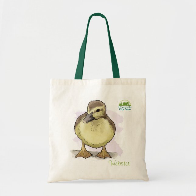 Webster bag (Front)