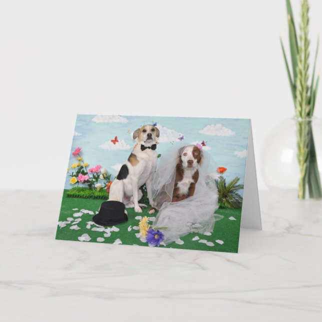Wedding card, photo of 2 dogs on wedding day card (Front)