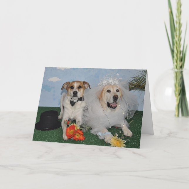 Wedding card, photo of 2 dogs on wedding day card (Front)