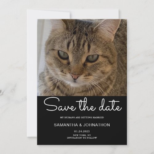 Wedding Cat Photo  Save The Date