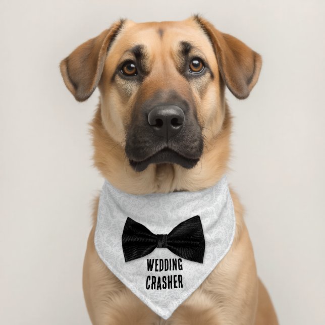 Wedding Crasher Black Bow Tie Pet Bandana Collar (Dog 2)