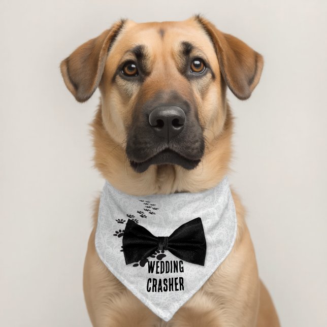 Wedding Crasher Pawprints and Bow Tie Pet Bandana Collar (Dog 2)