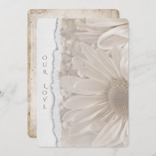 wedding daisy in sepia with torn paper edge invitation