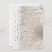 wedding daisy in sepia with torn paper edge invitation (Front)