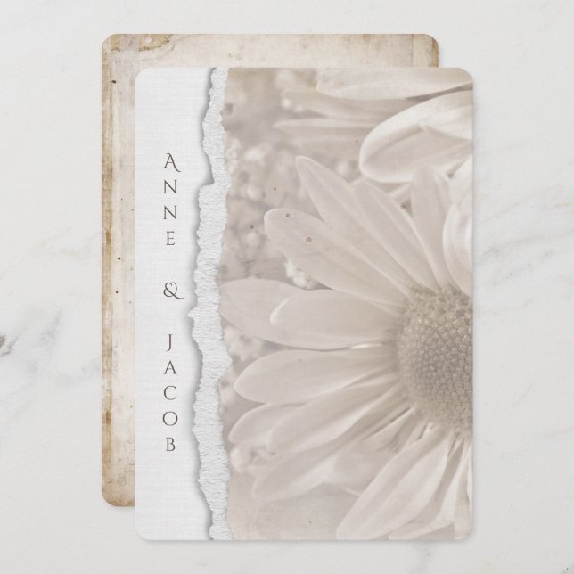 wedding daisy in sepia with torn paper edge invitation (Front/Back)