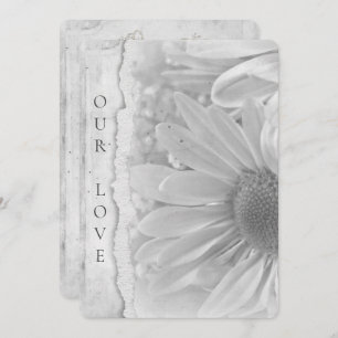 Wedding Daisy Macro With Torn Edge Border Invitation