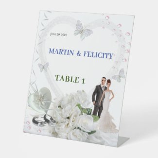 Wedding day - Martin & Felicity 
