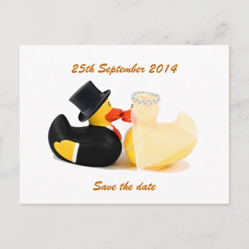 Wedding ducks 2  Postcard